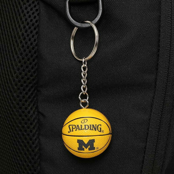 スポルディングSPALDINGバスケットボールアクセサリーバスケACC11009MI