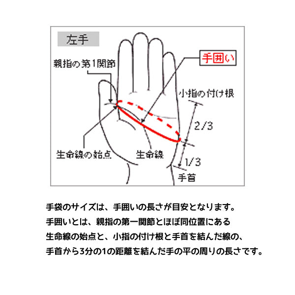 ミズノMIZUNO野球守備手袋【右手用】[ユニセックス]1EJED271
