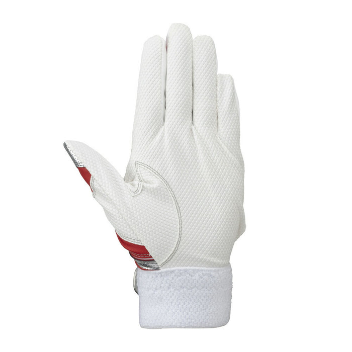 【ネコポス送料無料】ミズノ野球ジュニアバッティンググローブシリコンパワーアークDIレプリカ1EJEY255