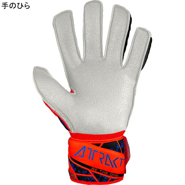【ショップ限定エントリーでさらに+9倍】ロイシュreuschアトラクトレジストジュニア5462615-2210サッカーGKグローブハイパーオレンジ