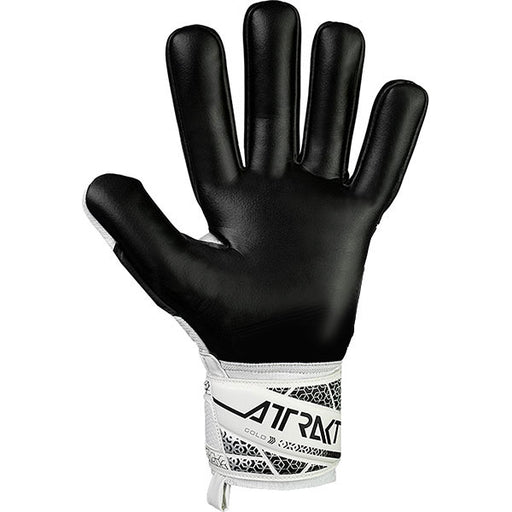 ロイシュreuschアトラクトゴールドNCキーパーグローブ5560155-1125サッカーGKグローブ