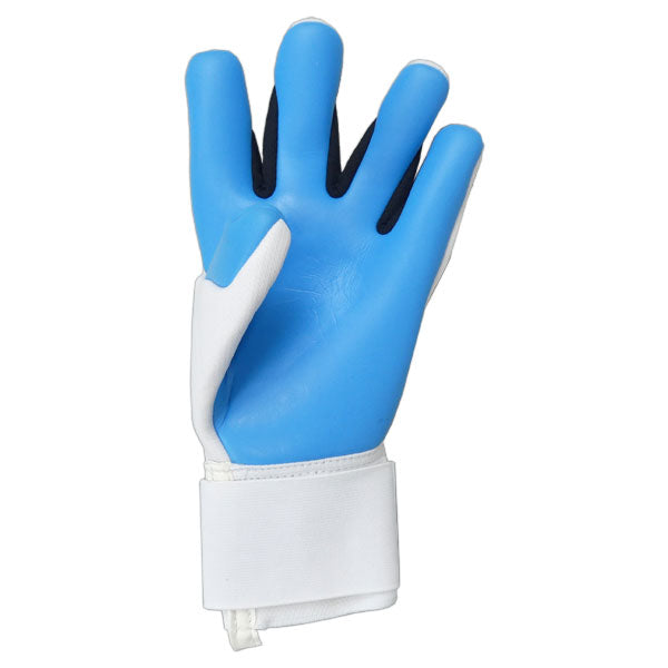 【ショップ限定エントリーでさらに+9倍】ロイシュreuschアトラクトフリーゲルアクアキーパーグローブ5570439-1126サッカーGKグローブ