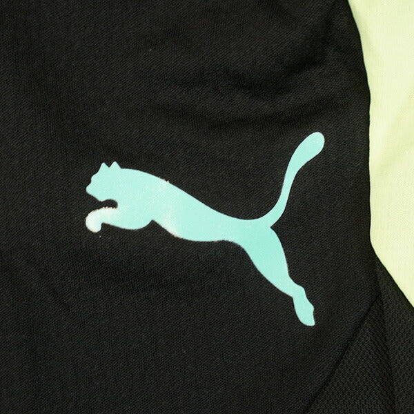 【ショップ限定エントリーでさらに+9倍】プーマPUMAジュニアINDIVIDUALファイナルトレーニングパンツ659859-02サッカーフットサル練習着プーマブラック子供用