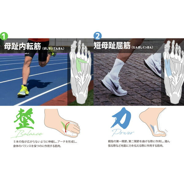 アクティバイタルActivitalランニングソックス五本指アクティバイタルPROラン
