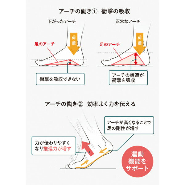 【ショップ限定エントリーでさらに+9倍】【送料無料】アカイシAKAISHI156フットリリースAF-156-019サッカーフットサル機能性サンダル疲労回復メンズ