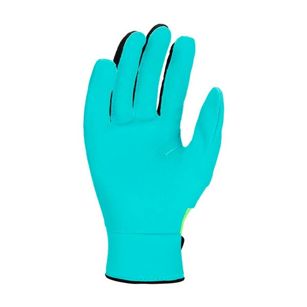 【ネコポス送料無料】ナイキNIKE野球少年野球ユースアルファ2.0バッティンググローブ両手用BA1202-313