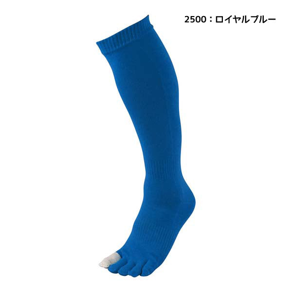 【ショップ限定エントリーでさらに+9倍】ゼットZETT野球ソックスメンズイザナス5本指カラーソックス野球アクセサリー中学高校野球部部活動練習用BK1360C