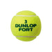 ダンロップDUNLOP硬式テニスボールフォートFORT2個入ボトル試合球安定感打球感2個入DFFYL2
