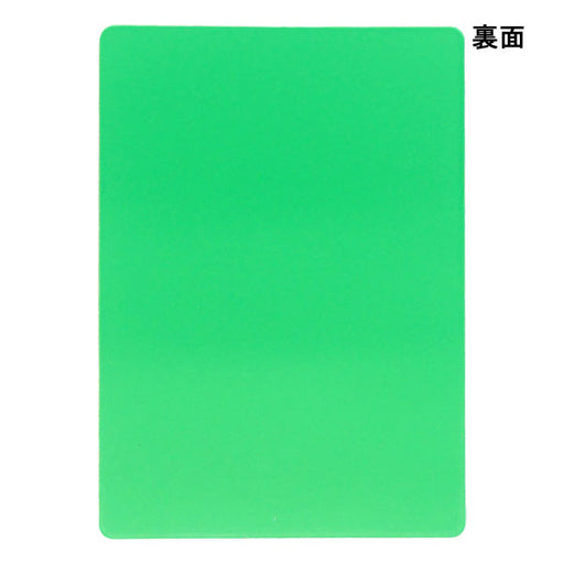 【ショップ限定エントリーでさらに+9倍】【ネコポス対応可】フィンタFINTAグリーンカードFT5987サッカーフットサルレフェリー審判レフリー用品