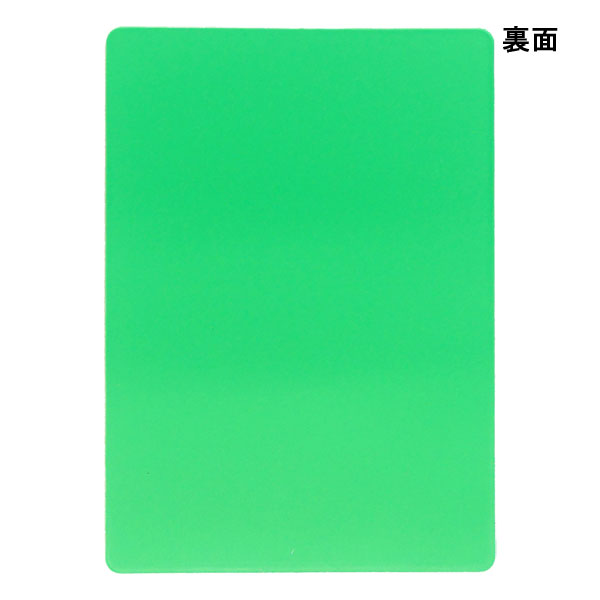 【ショップ限定エントリーでさらに+9倍】【ネコポス対応可】フィンタFINTAグリーンカードFT5987サッカーフットサルレフェリー審判レフリー用品