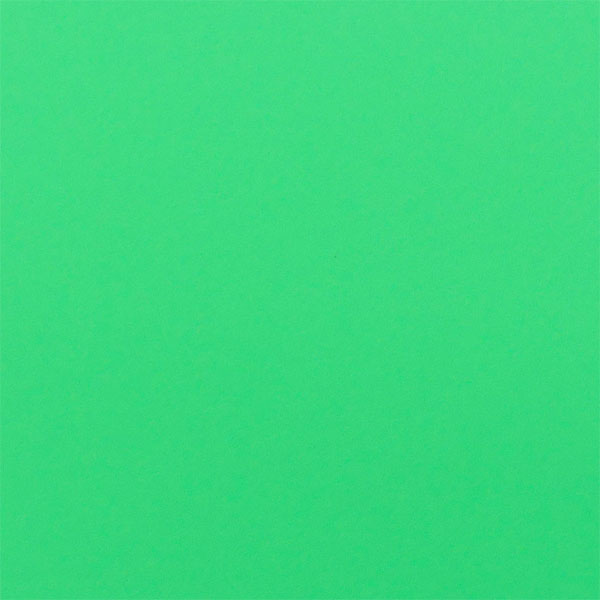 【ショップ限定エントリーでさらに+9倍】【ネコポス対応可】フィンタFINTAグリーンカードFT5987サッカーフットサルレフェリー審判レフリー用品