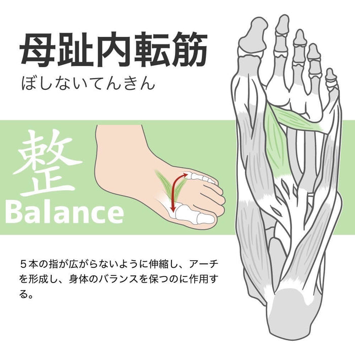 【ショップ限定エントリーでさらに+9倍】アクティバイタルプロサッカーソックスActivitalPROフットサポーターHRD1055HRD1056足袋タビソックス滑り止めグリップメンズジュニア