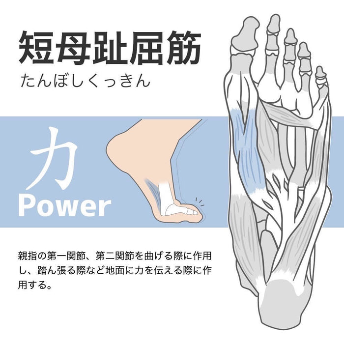 アクティバイタルプロサッカーソックスActivitalPROフットサポーターHRD1055HRD1056足袋タビソックス滑り止めグリップメンズジュニア