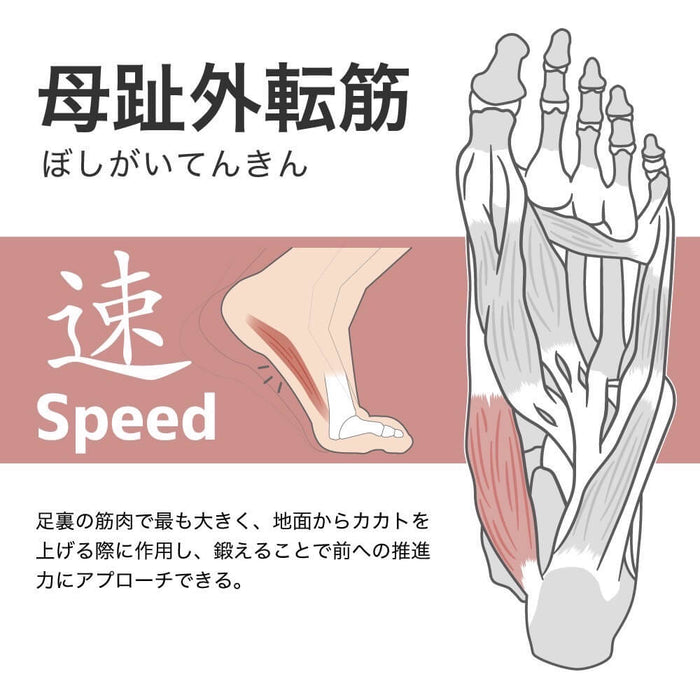 アクティバイタルプロサッカーソックスActivitalPROフットサポーターHRD1055HRD1056足袋タビソックス滑り止めグリップメンズジュニア