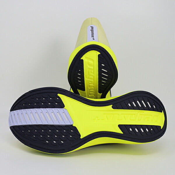 ナイキNIKEレディースランニングシューズペガサスプラス2PegasusPlus2マラソンジョギングIM2543-310