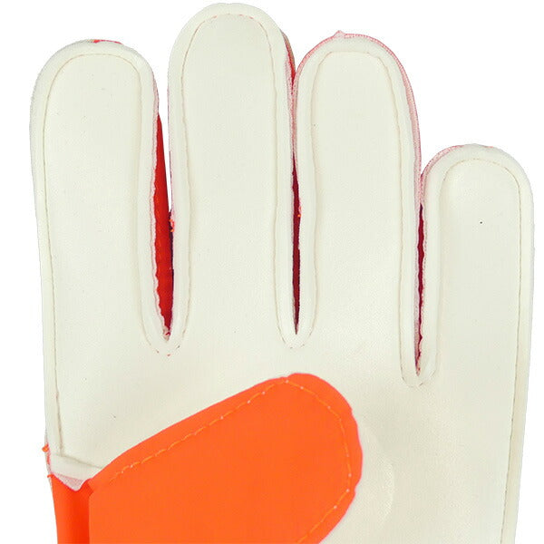 【ショップ限定エントリーでさらに+9倍】【ネコポス送料無料】アディダスadidasプレデタートレーニングゴールキーパーグローブJTJ64-IX3870サッカーキーパーグローブGKグローブブルー