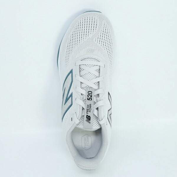 ニューバランスNewbalanceフレッシュフォームFreshFoam520v9メンズランニングシューズM5206IE-2E