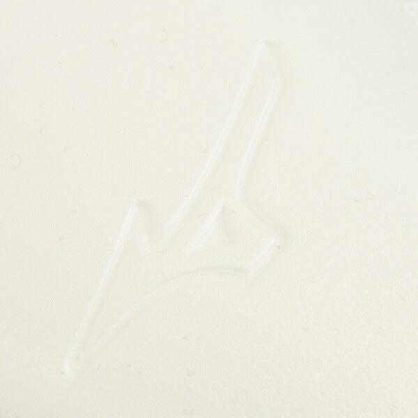 【ネコポス送料無料】ミズノmizunoミズノエナジーxpインソールP1GZ252009サッカーフットサルシューズ用品ブラック