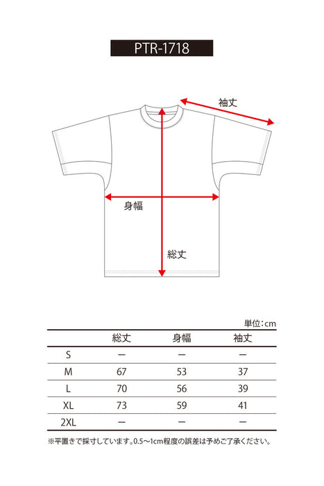 【ネコポス送料無料】PASSTHEROOKパスザロックバスケットボールメンズTシャツ半袖PTR-1718