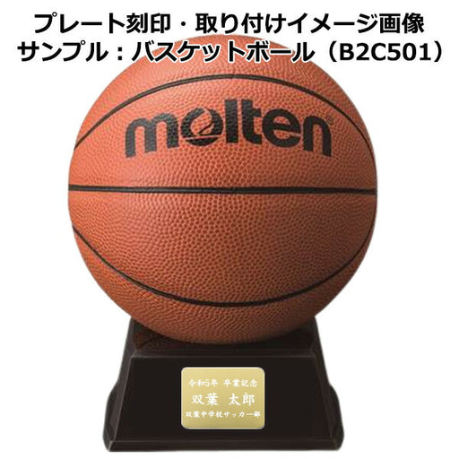 期間限定名入れ無料卒業卒団卒部記念品サインボールサッカー部バスケットボール部バレーボール部