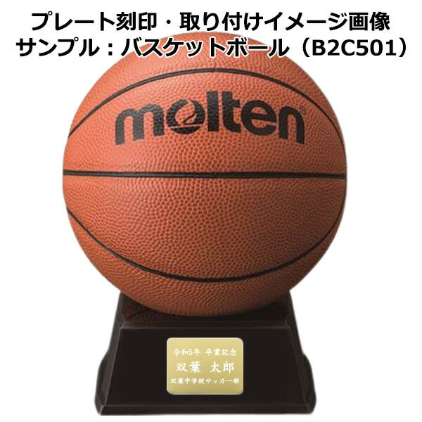 期間限定名入れ無料卒業卒団卒部記念品サインボールサッカー部バスケットボール部バレーボール部