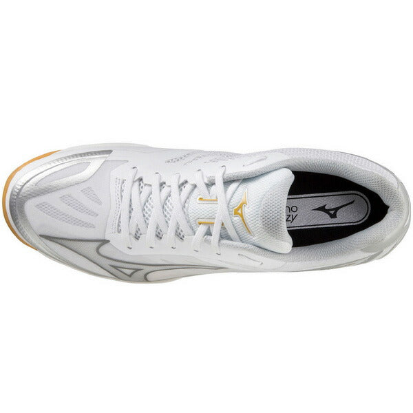 バレーボールシューズミズノフライミズノMIZUNO2E相当V1GA233009