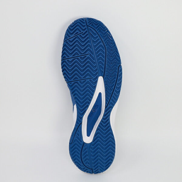 ウイルソンWilsonRUSHPROACEメンズテニスシューズオールコートWRS335360